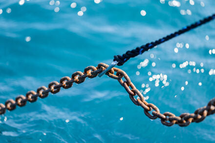 WICHARD 1/2" CHAIN GRIP KIT